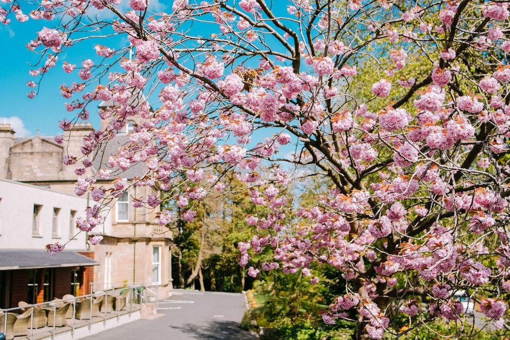 Lynnhurst Hotel Johnstone Dış mekan fotoğraf